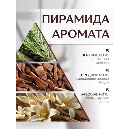 Диффузор с сухоцветами в Премиум тубусе Accents Massimo
