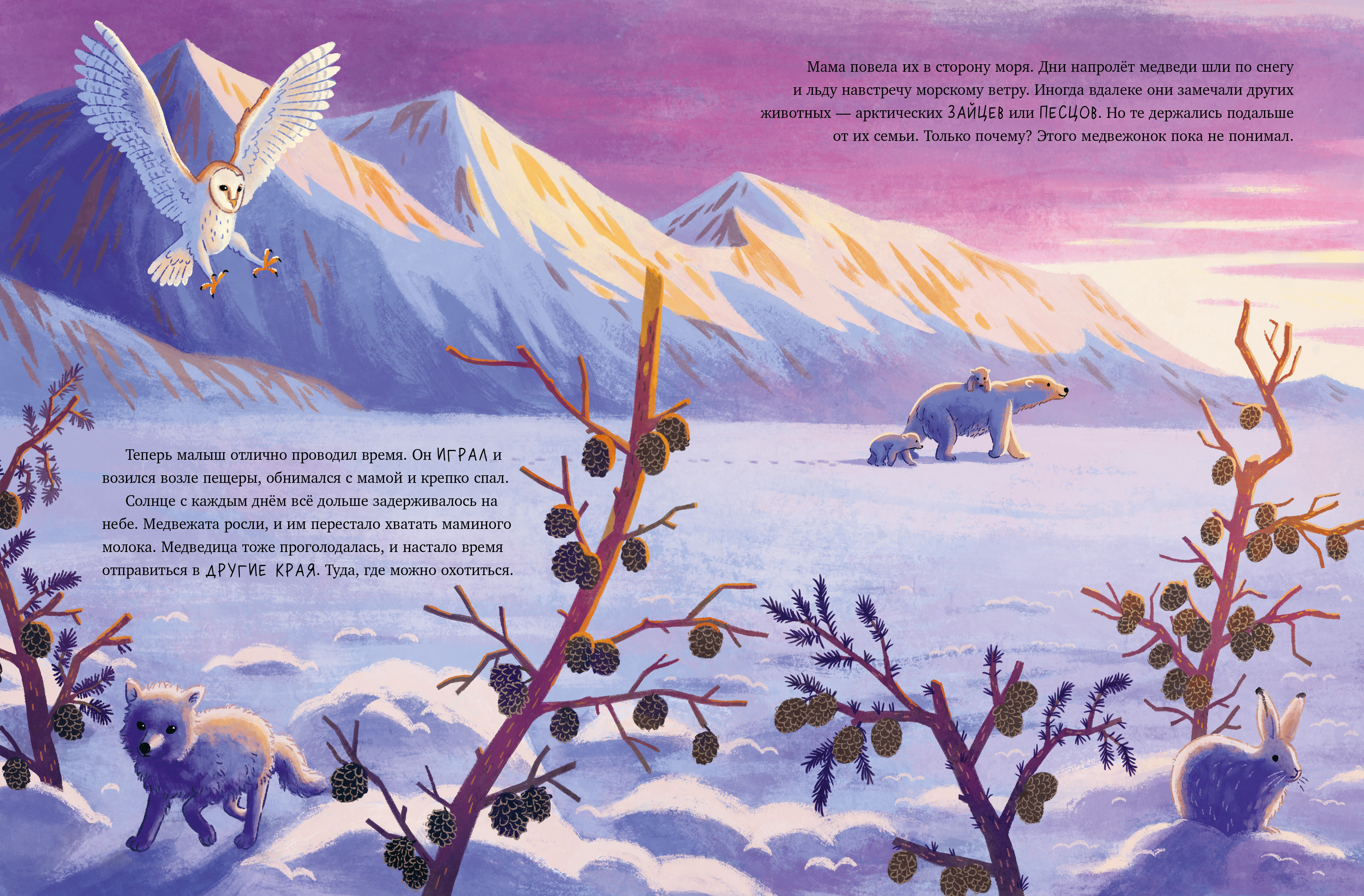 Удивительные животные Clever Белый медвежонок. Приключения в Арктике - фото 6