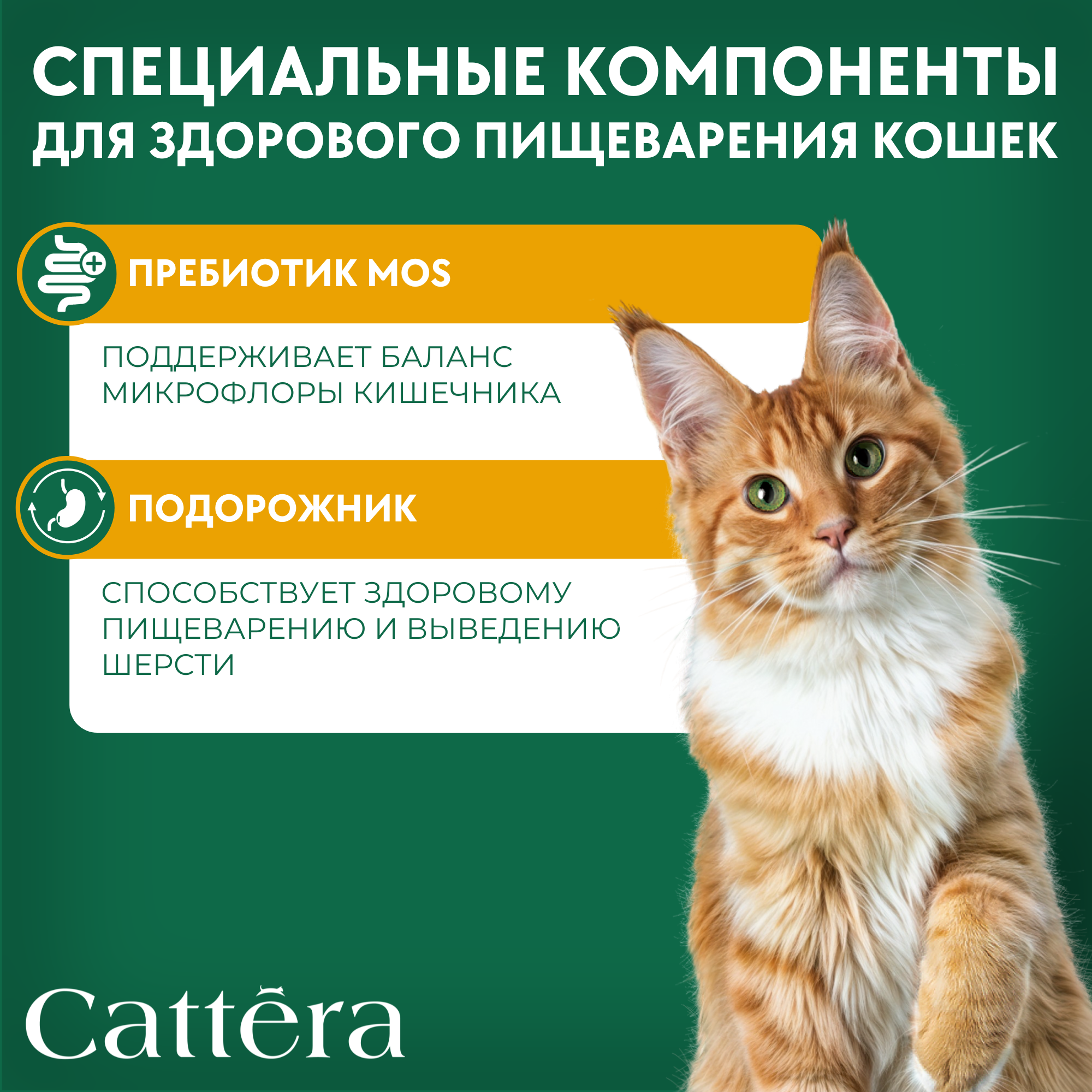 Корм сухой для кошек Cattera полнорационный с курицей 0,7 кг - фото 4