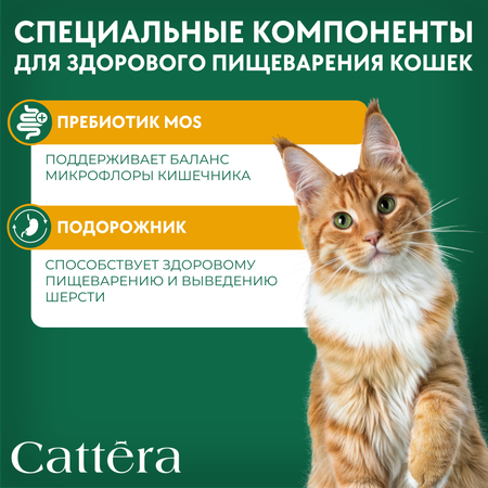 Корм сухой для кошек Cattera полнорационный с курицей 0,7 кг