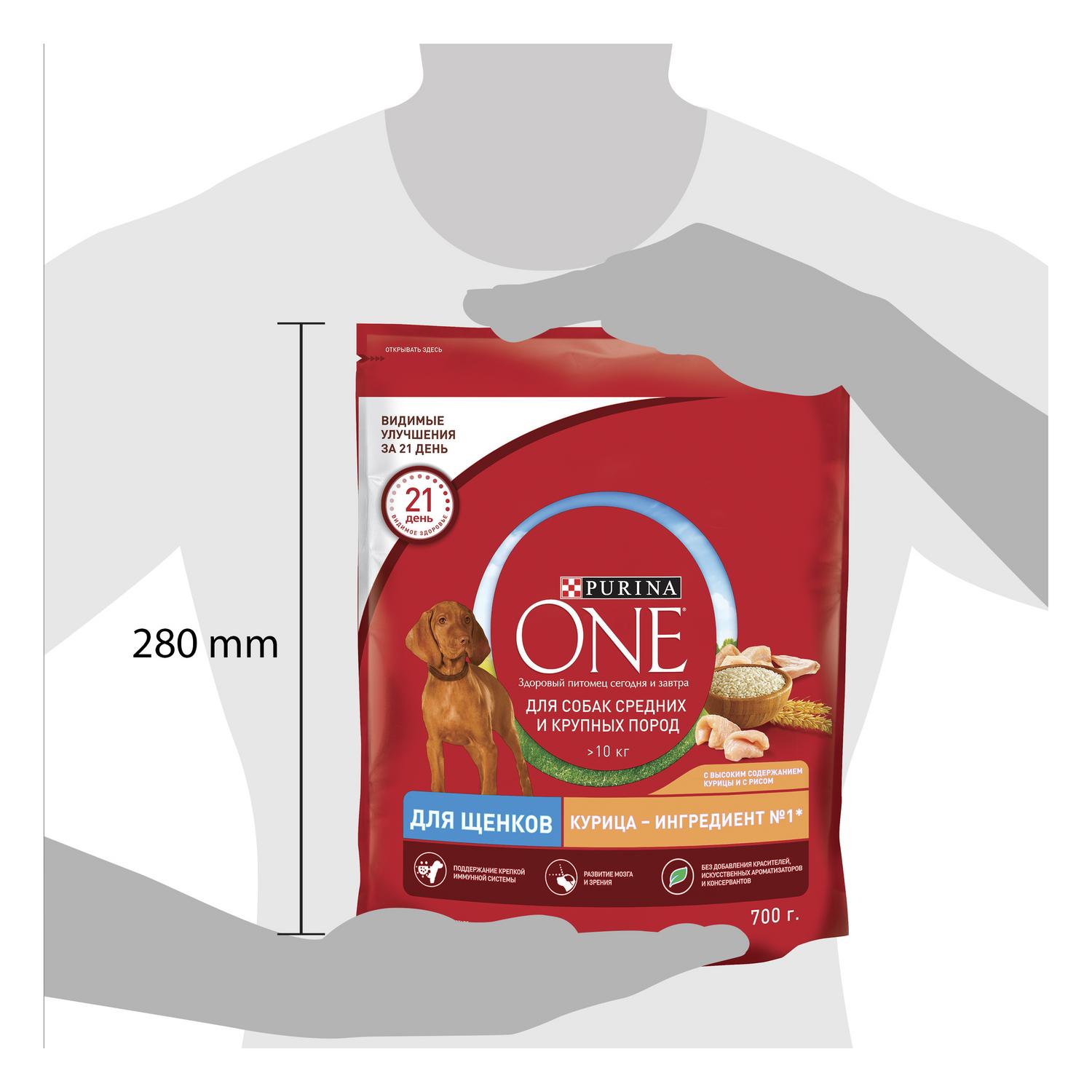 Корм для щенков Purina One средних и крупных пород курица-рис 700г - фото 11