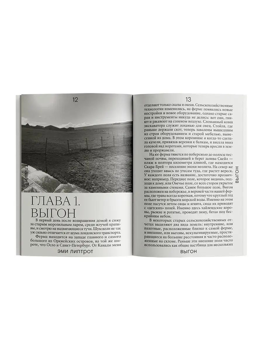 Книга Ad Marginem Выгон - фото 5