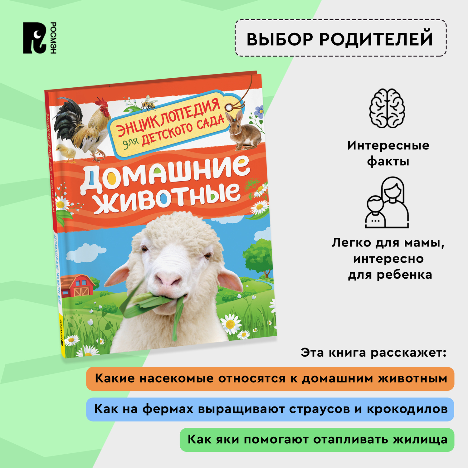 Книга Росмэн Домашние животные Энциклопедия для детского сада - фото 9