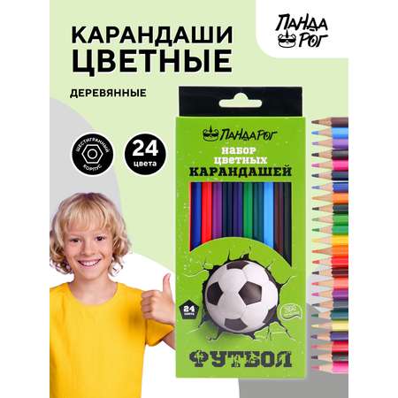 Карандаши цветные ПАНДАРОГ 24 шт.