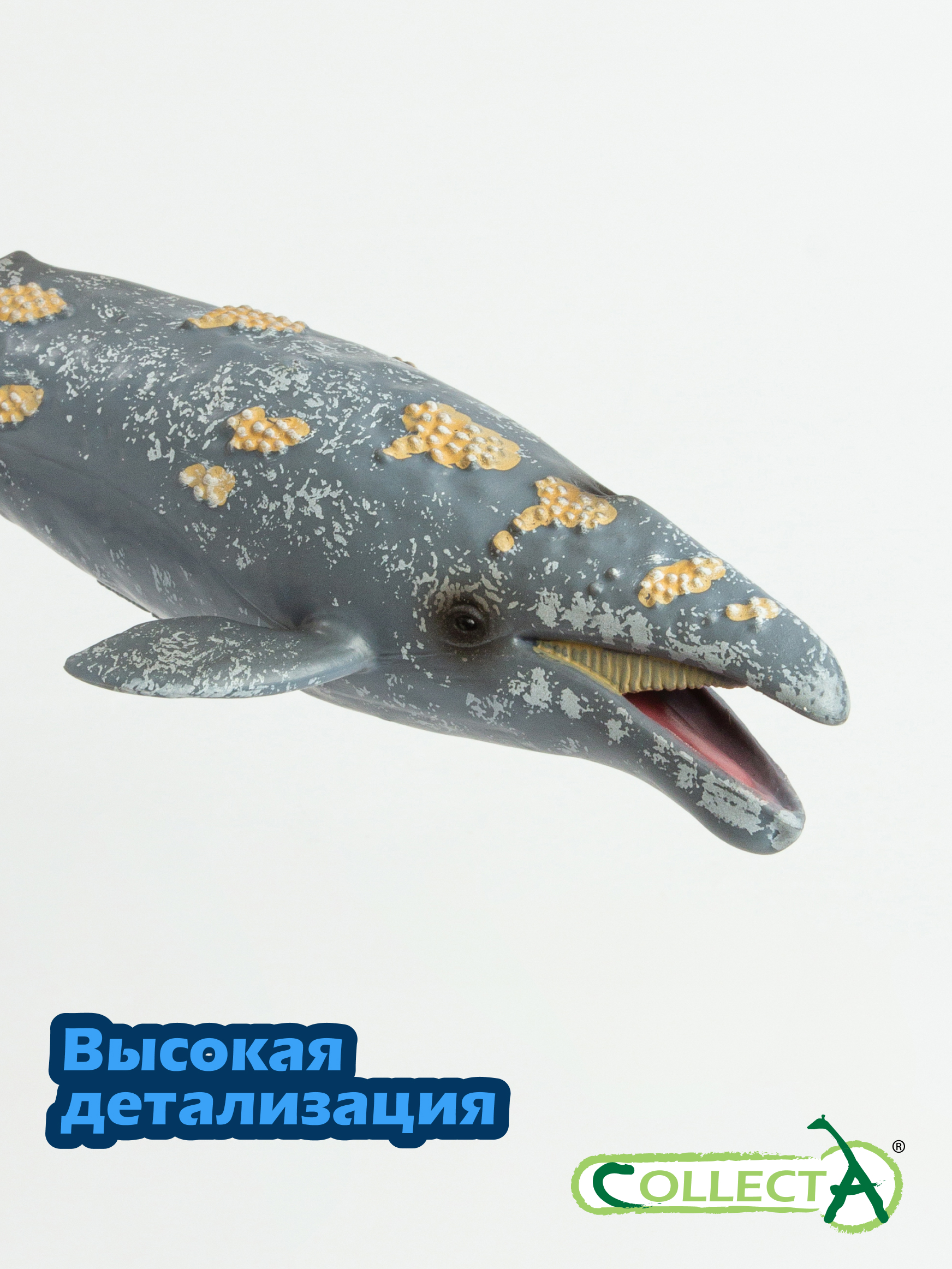 Фигурка Collecta Серый кит - фото 3