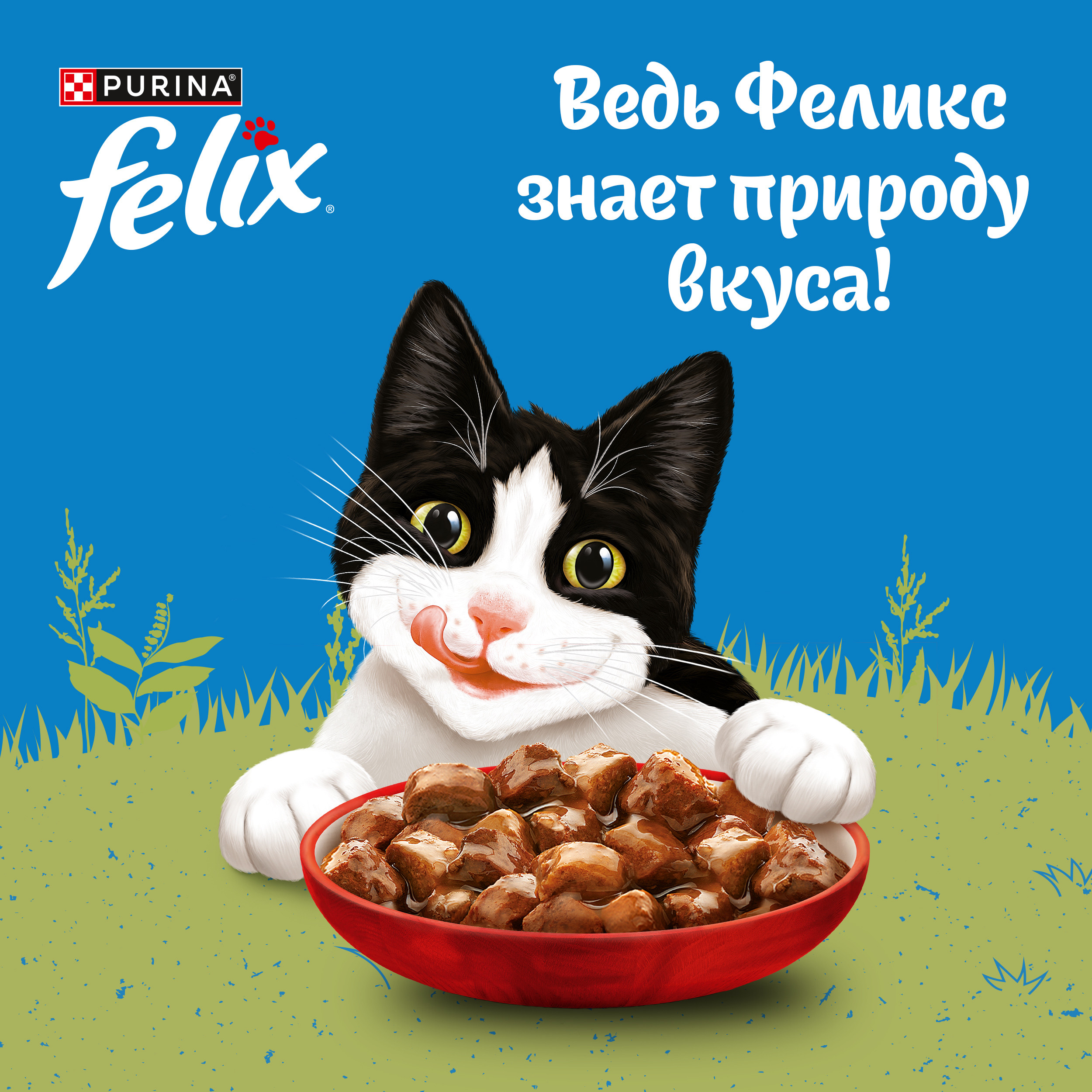 Корм для кошек Felix 75г для взрослых с говядиной в соусе - фото 9