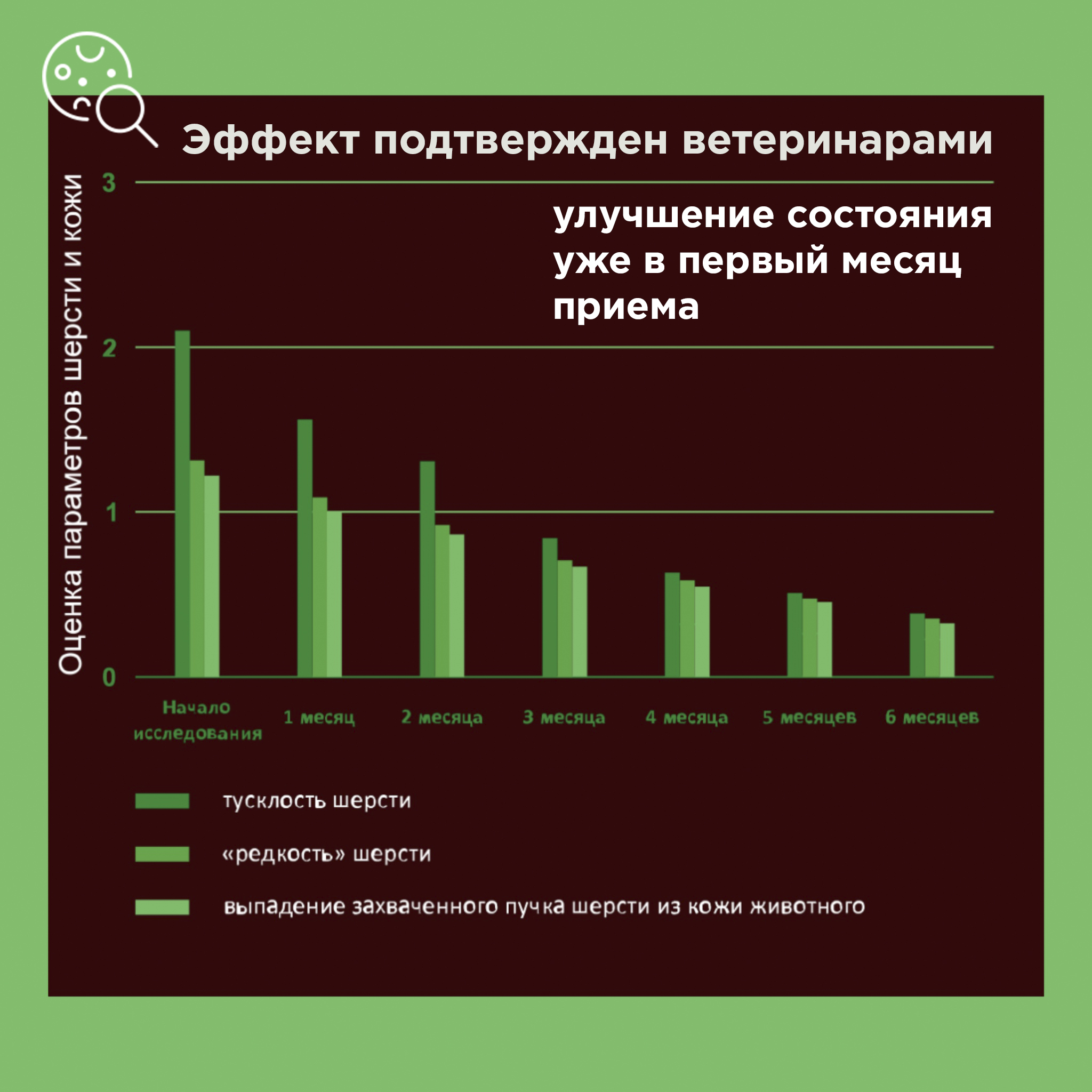 Лакомство для кошек PETS BIN Skin and Hair для кожи и шерсти с коллагеном 1 2 и 3 типа 25 г - фото 9