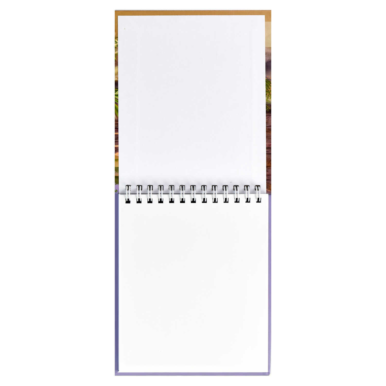 Скетчбук Феникс + - фото 3