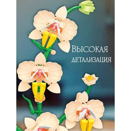 Конструктор BONNY CAT Орхидея в горшке 539 дет.