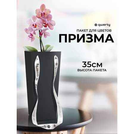 Пакет для цветов Qwerty Призма