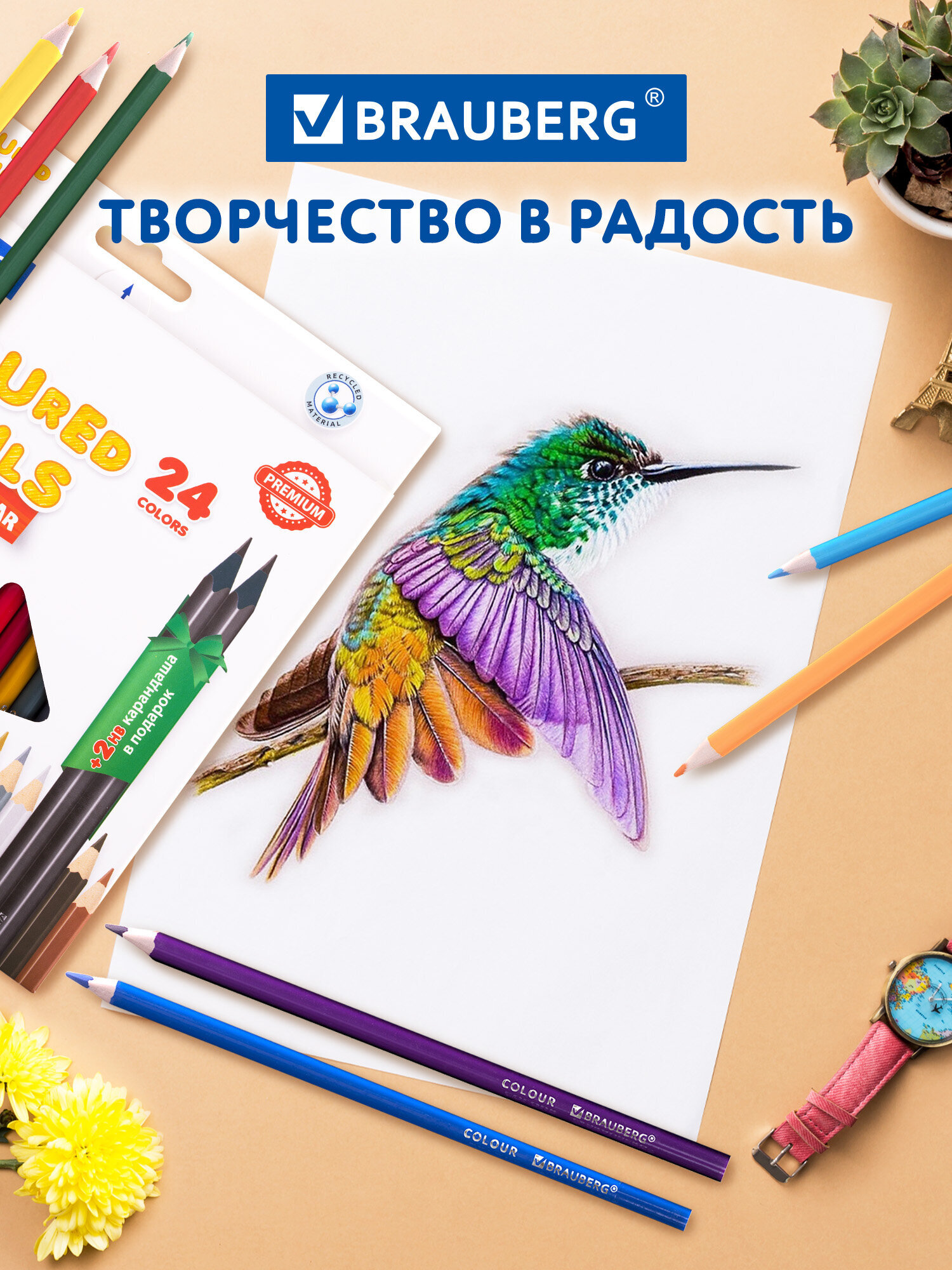 Карандаши цветные Brauberg 26 шт. - фото 7