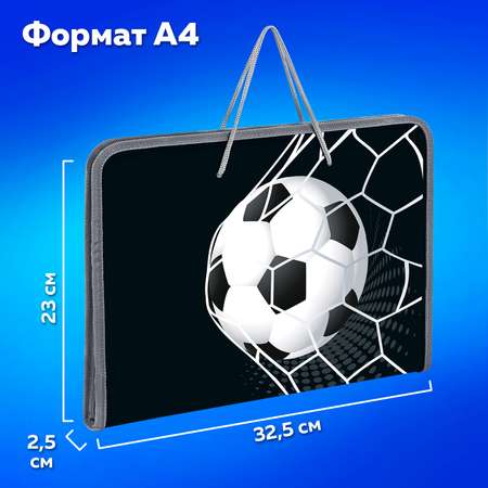 Папка для тетрадей Пифагор А4
