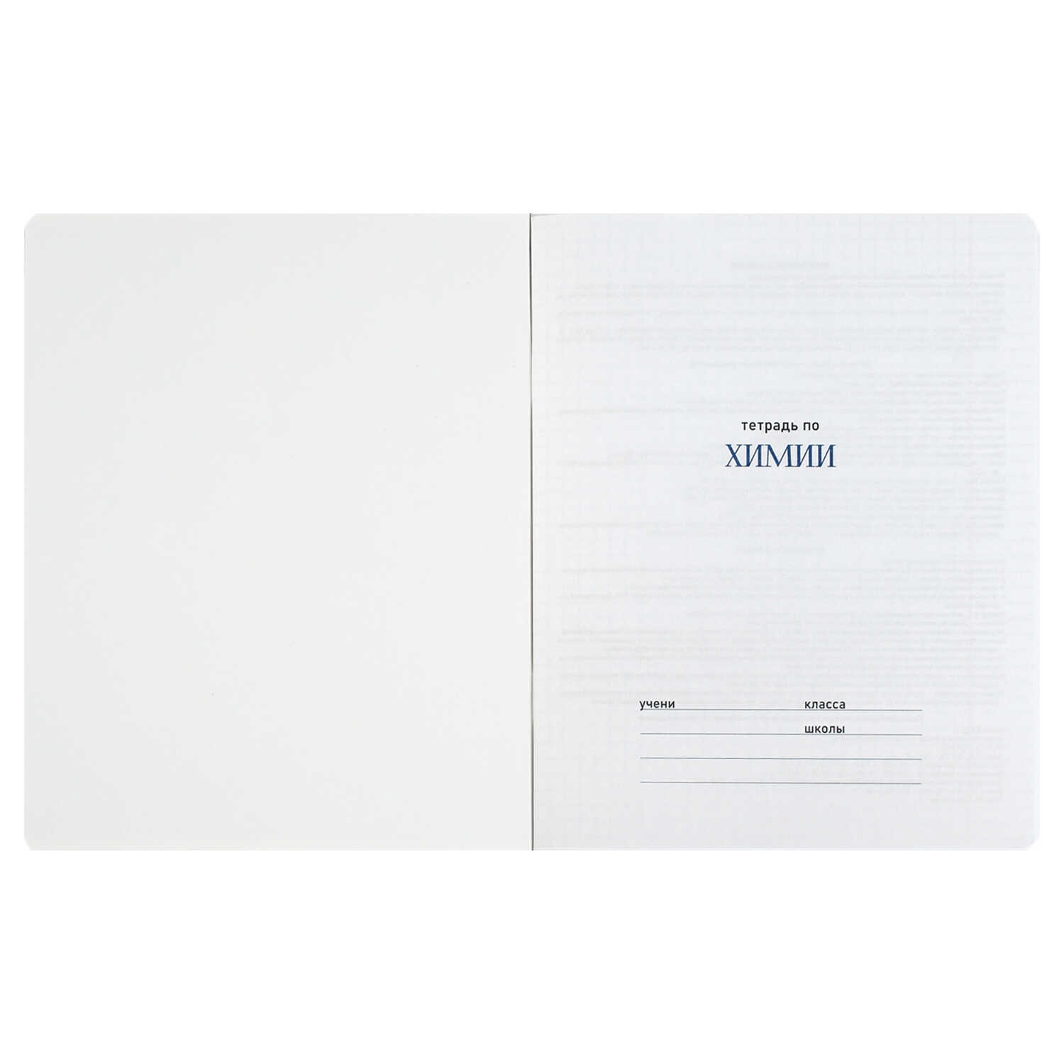 Тетрадь Феникс + 48 лист. 10 шт. (Алгебра, Геометрия, Физика, История, Биология, География, Химия, Английский язык, Русский язык, Литература) - фото 7