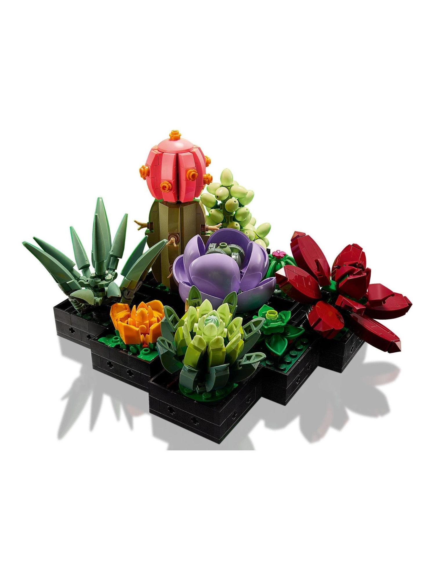 Конструктор LEGO Icons Суккуленты 771 дет. - фото 5