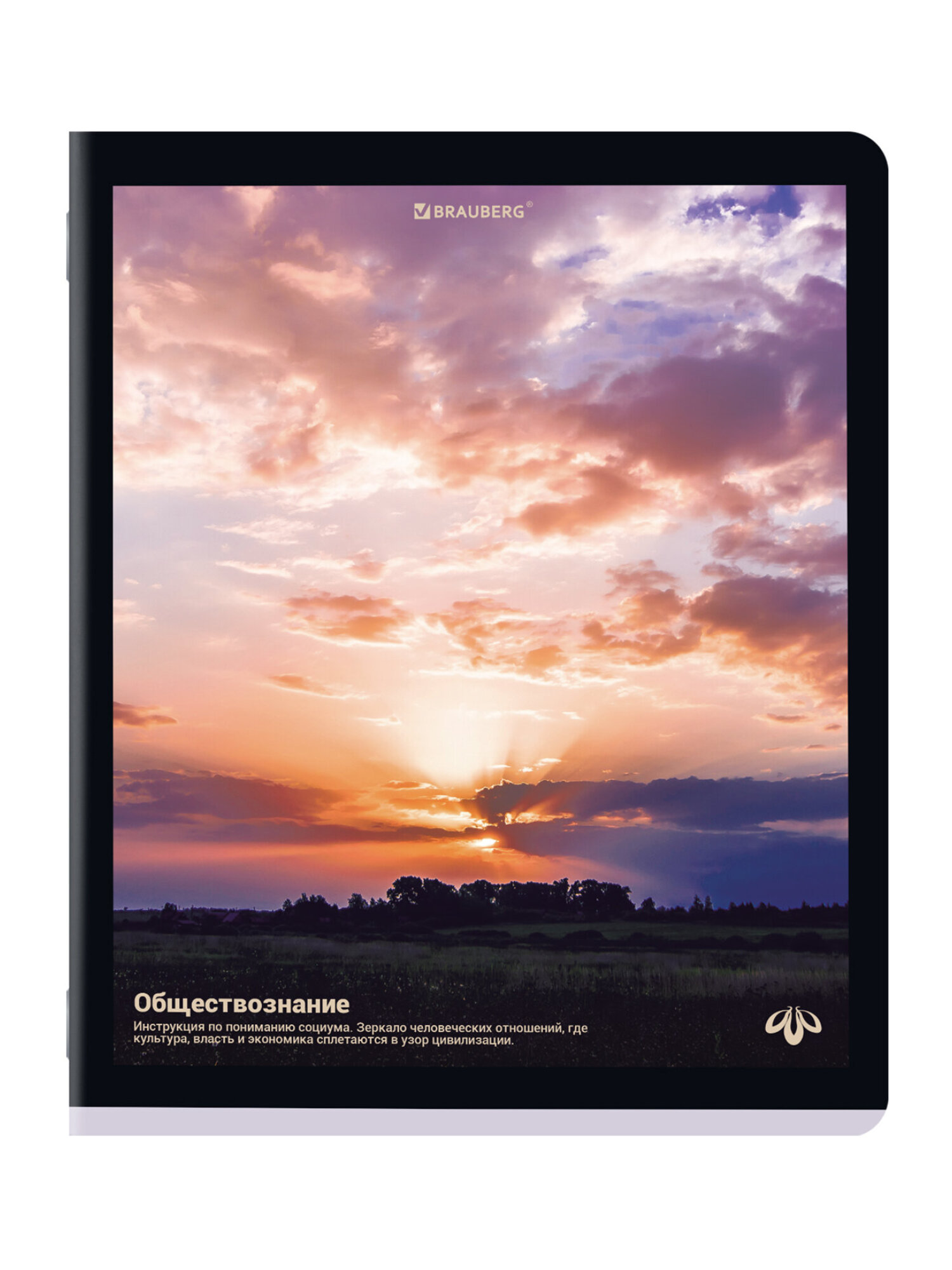 Тетрадь Brauberg 48 лист. 12 шт. - фото 15