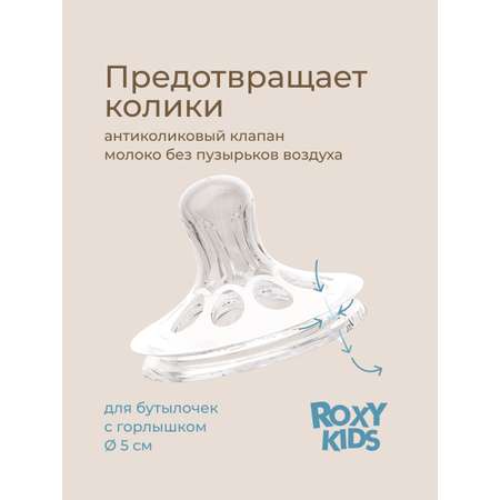 Соска ROXY-KIDS S (медленный поток) 2 шт.