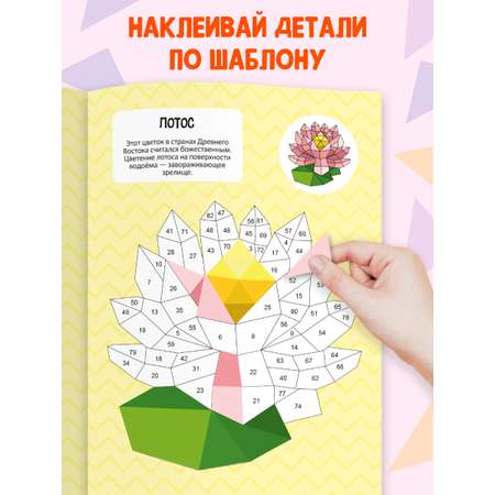 Раскраска Проф-Пресс наклейками по номерам. 4 картинки. А4. Цветы