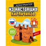 Конструктор ВИСМА из мини-блоков 163 дет.