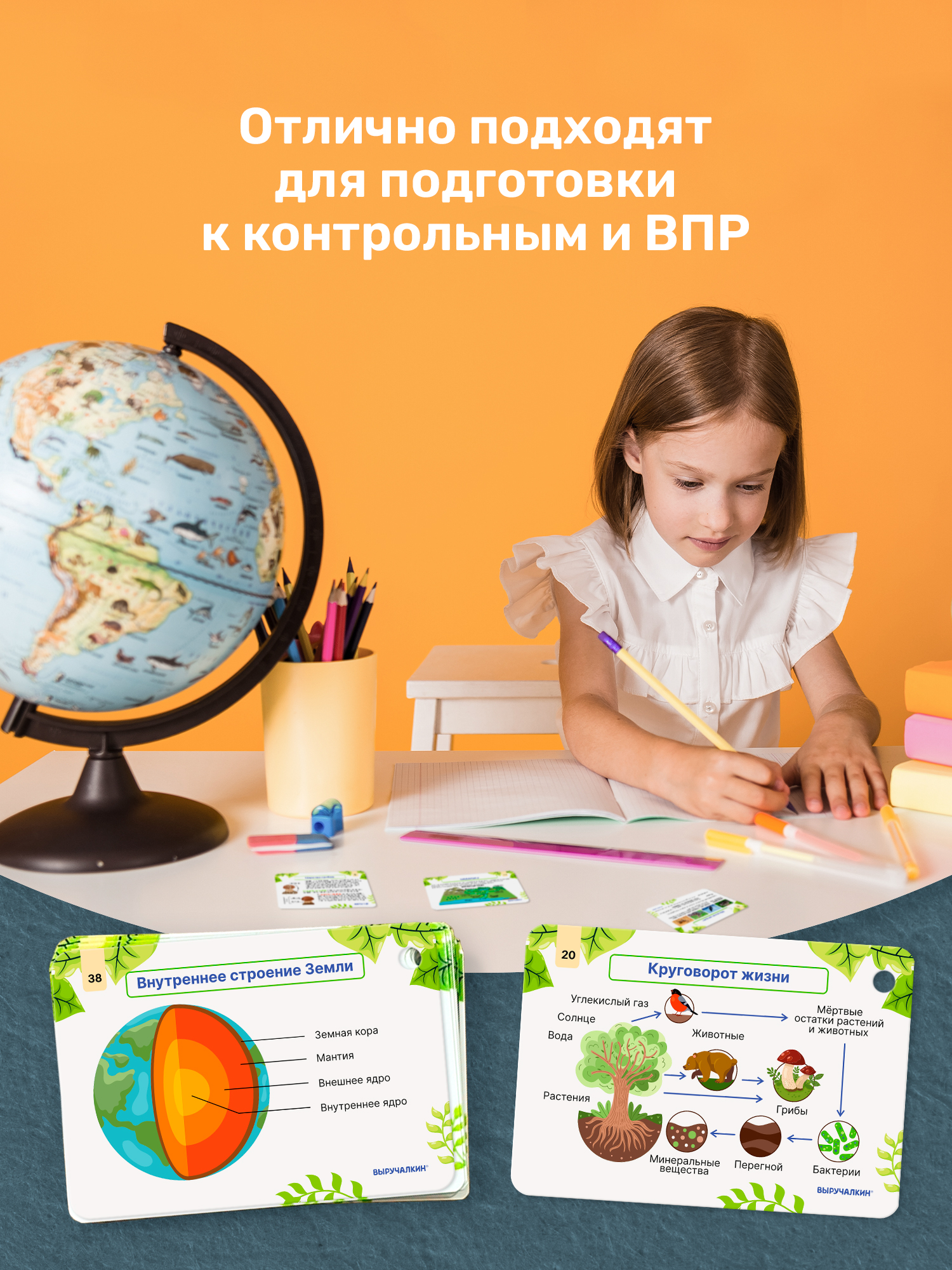 Карточки Выручалкин Окружающий мир 1-4 класс - фото 7