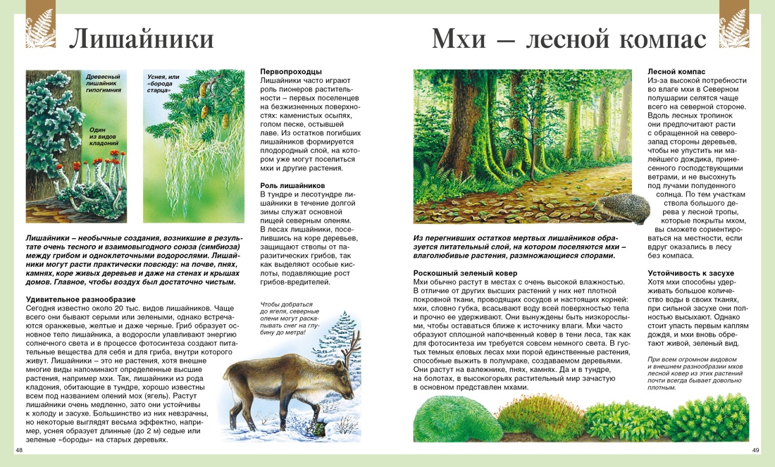 Книга Махаон Детская энциклопедия про всё на свете - фото 9