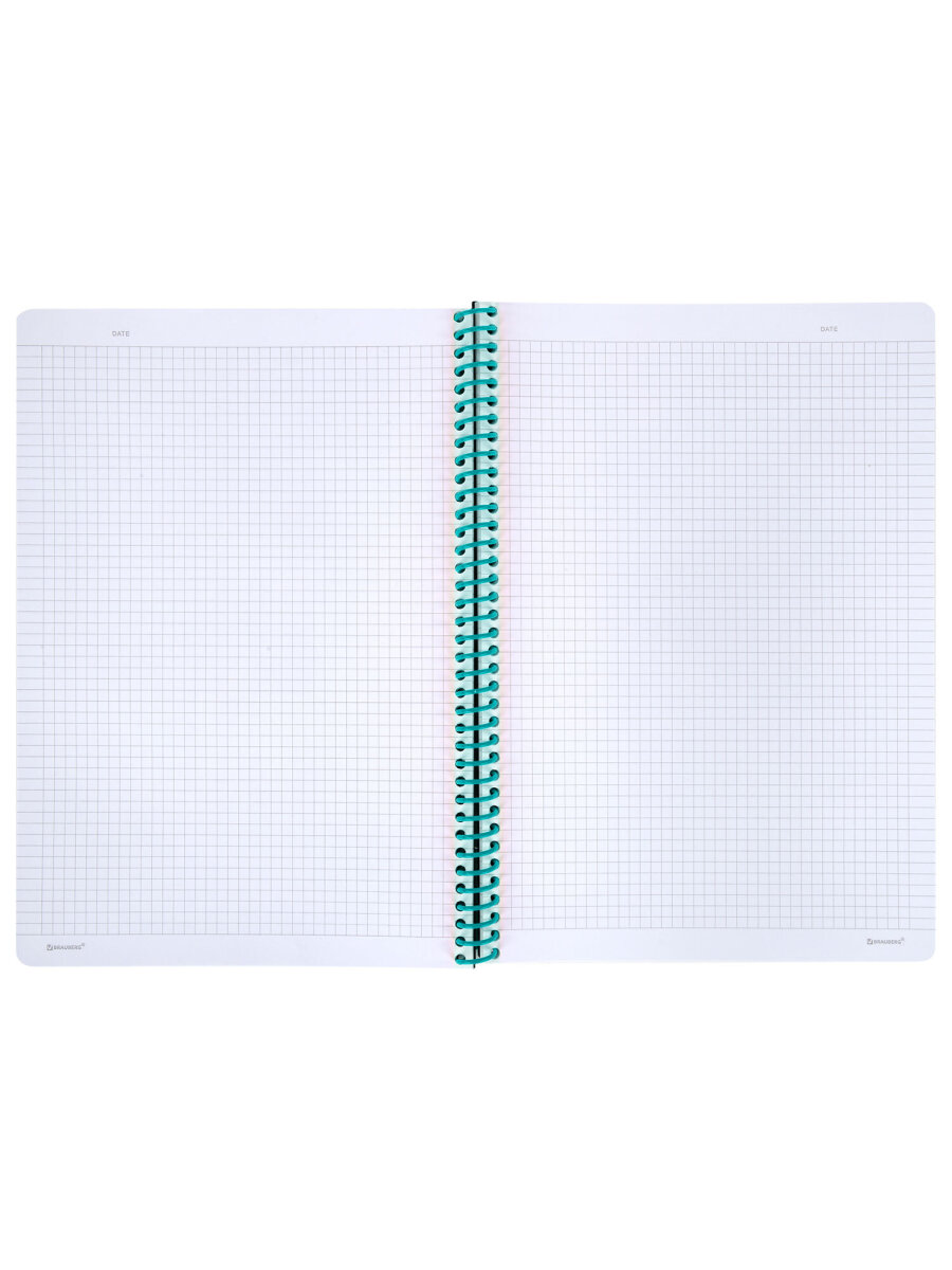 Общая тетрадь Brauberg клетка 80 лист. - фото 5