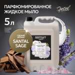 Мыло жидкое SEPTIVIT Santal Sage 5200 г 5000 мл