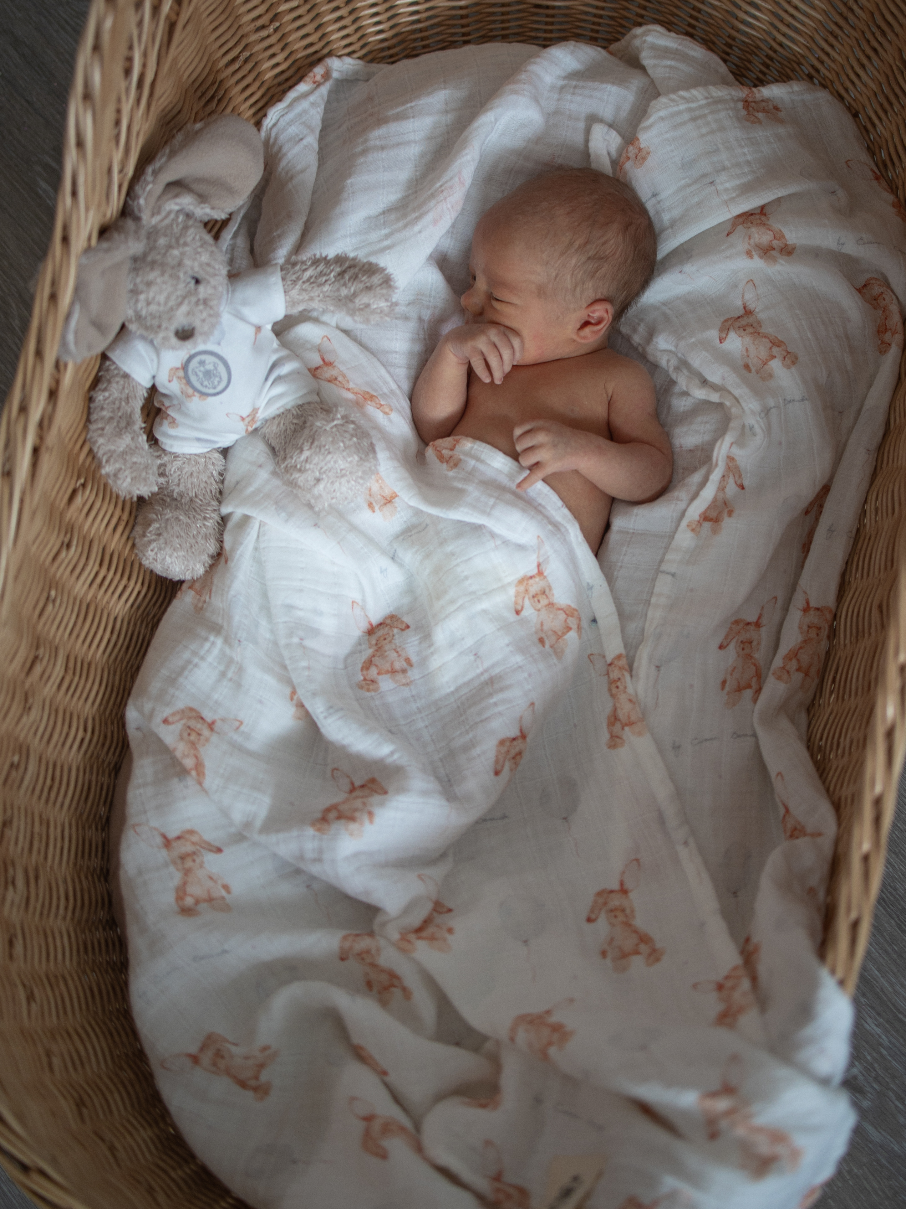 Пелёнка НаследникЪ Выжанова Набор муслиновых пеленок муслин 120х120 см 2 шт. - фото 1