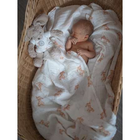 Пелёнка НаследникЪ Выжанова Набор муслиновых пеленок муслин 120х120 см 2 шт.