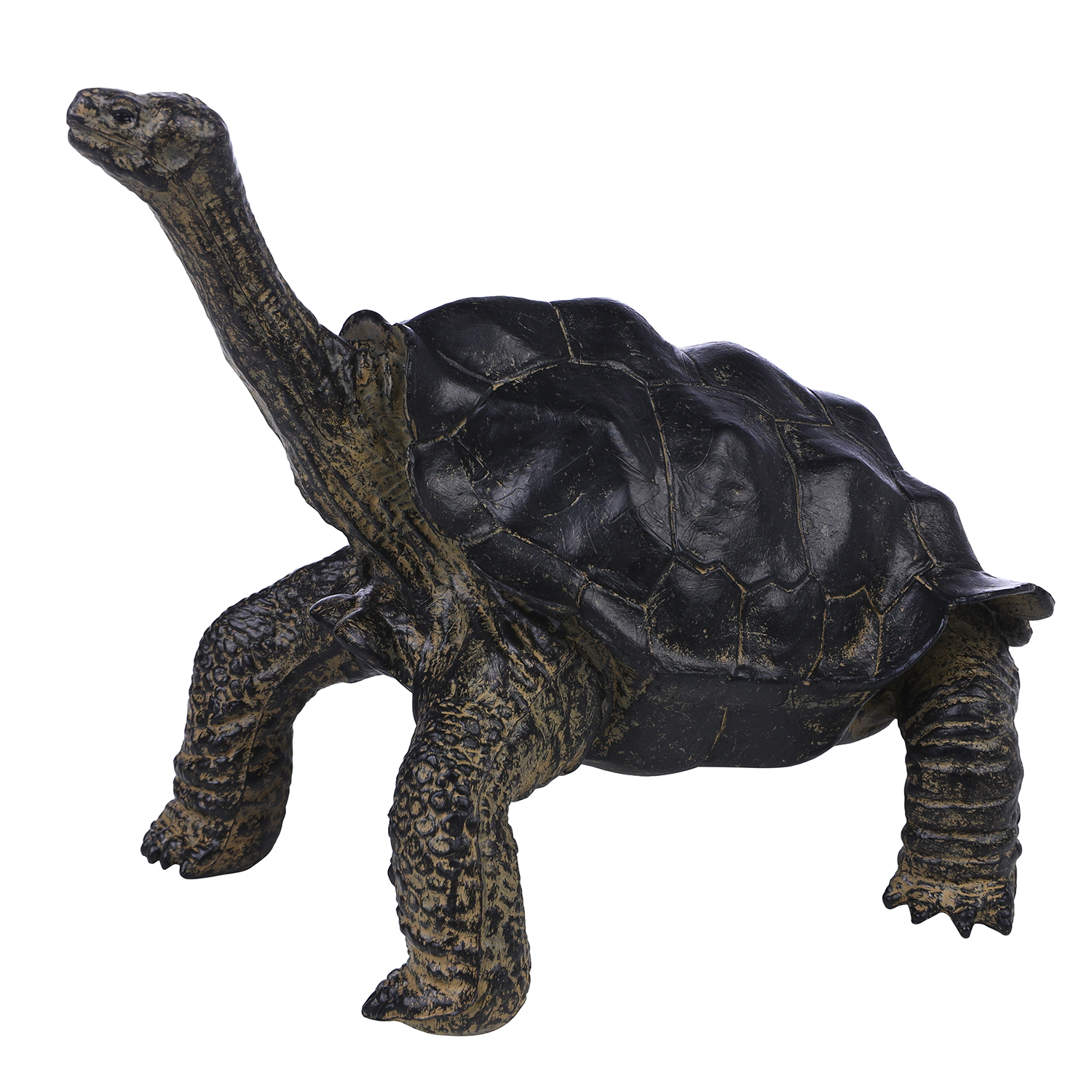 Игровой набор Masai Mara Звездчатая черепаха - фото 6