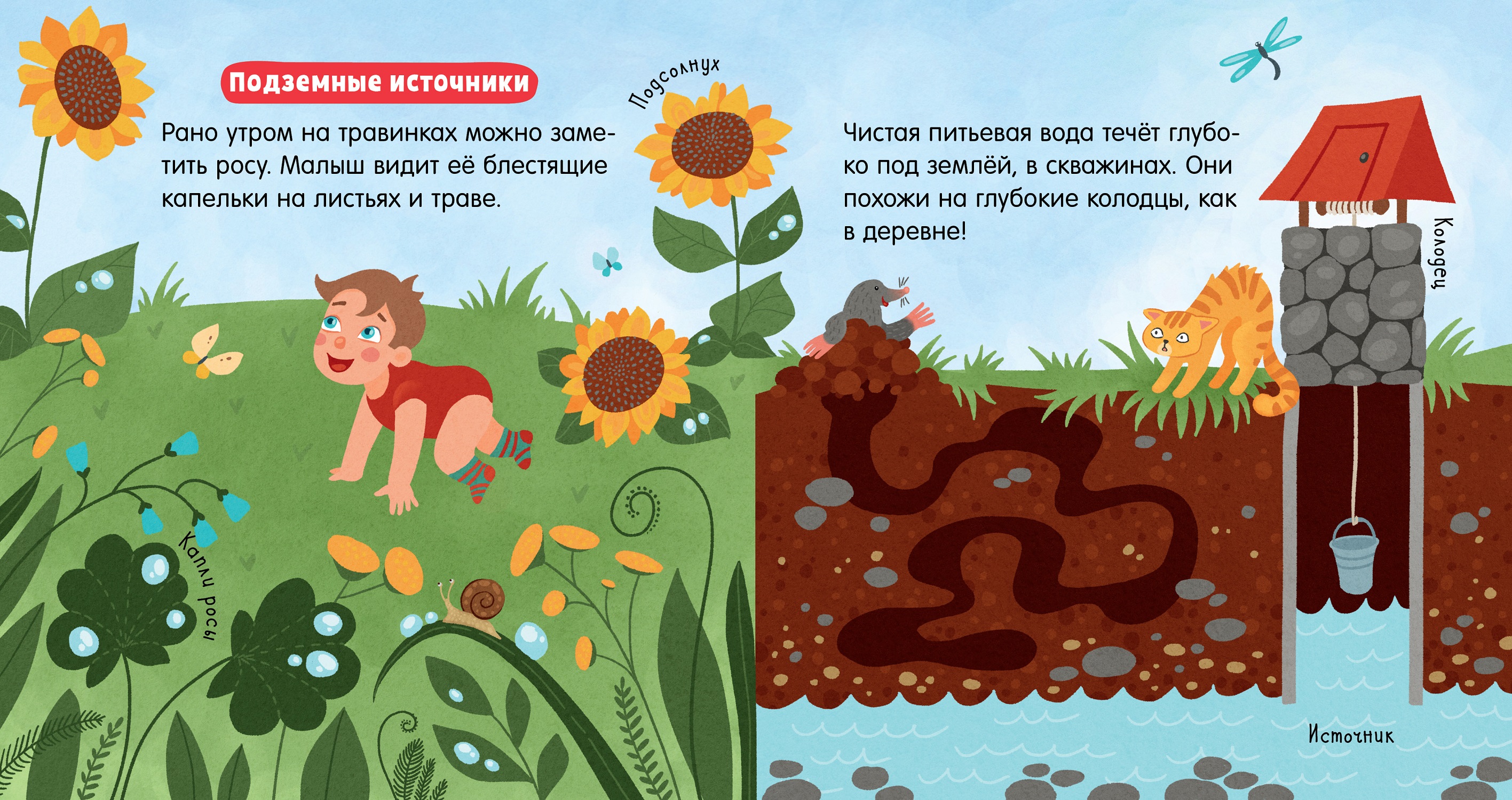 Книга Clever Издательство Наука для малышей. Вода - фото 6