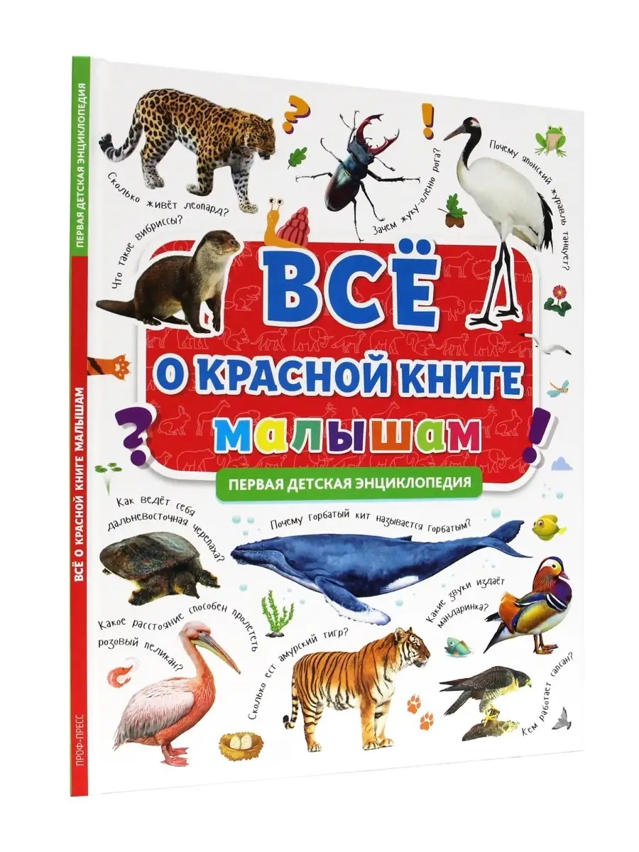 Книга Проф-Пресс Первая детская энциклопедия Всё о красной книге малышам - фото 5