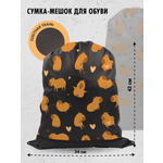 Мешок для обуви AXLER