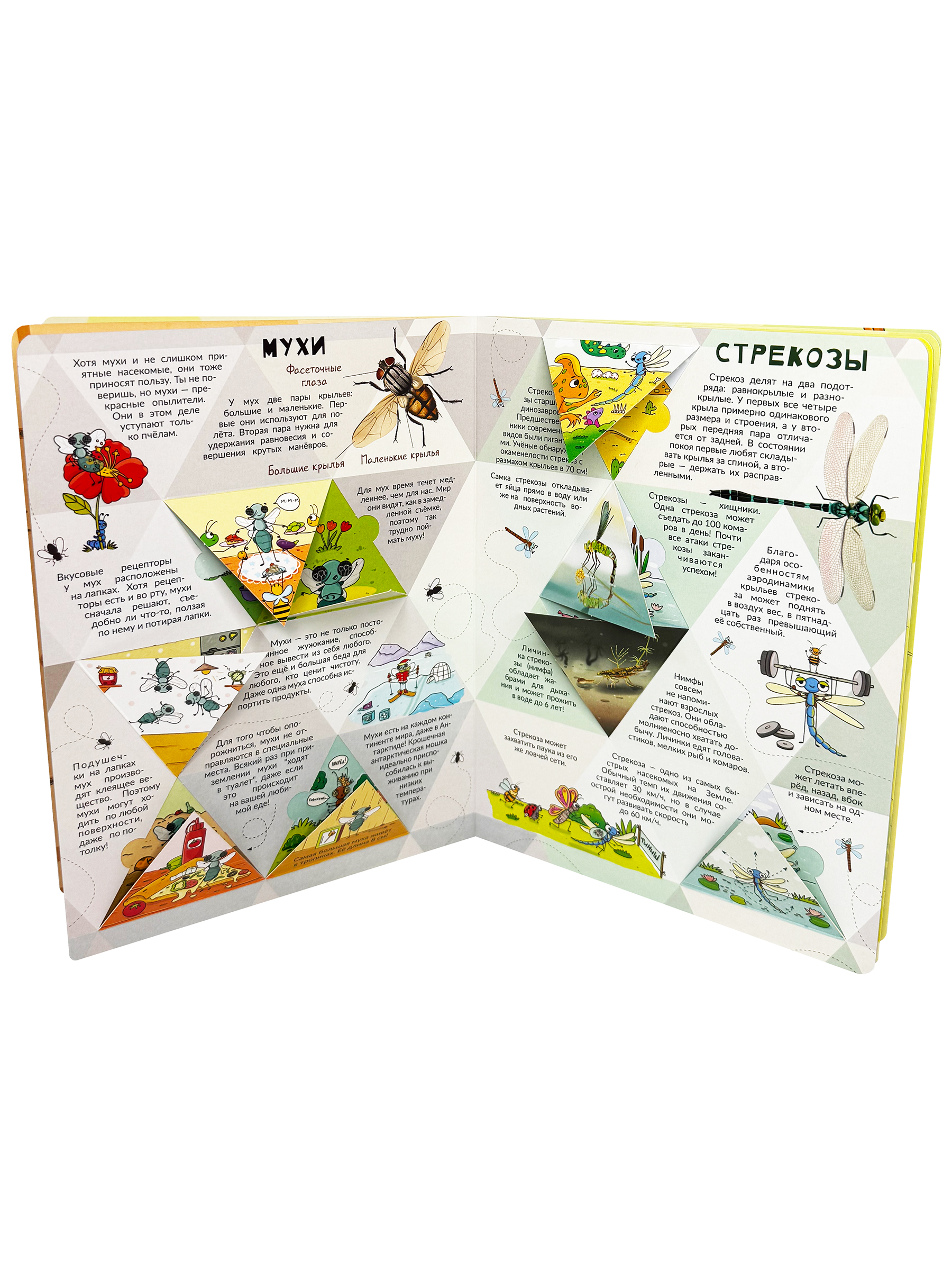 Энциклопедия с окошками БимБиМон Книга детская энциклопедия с окошками Виммельбух - фото 9