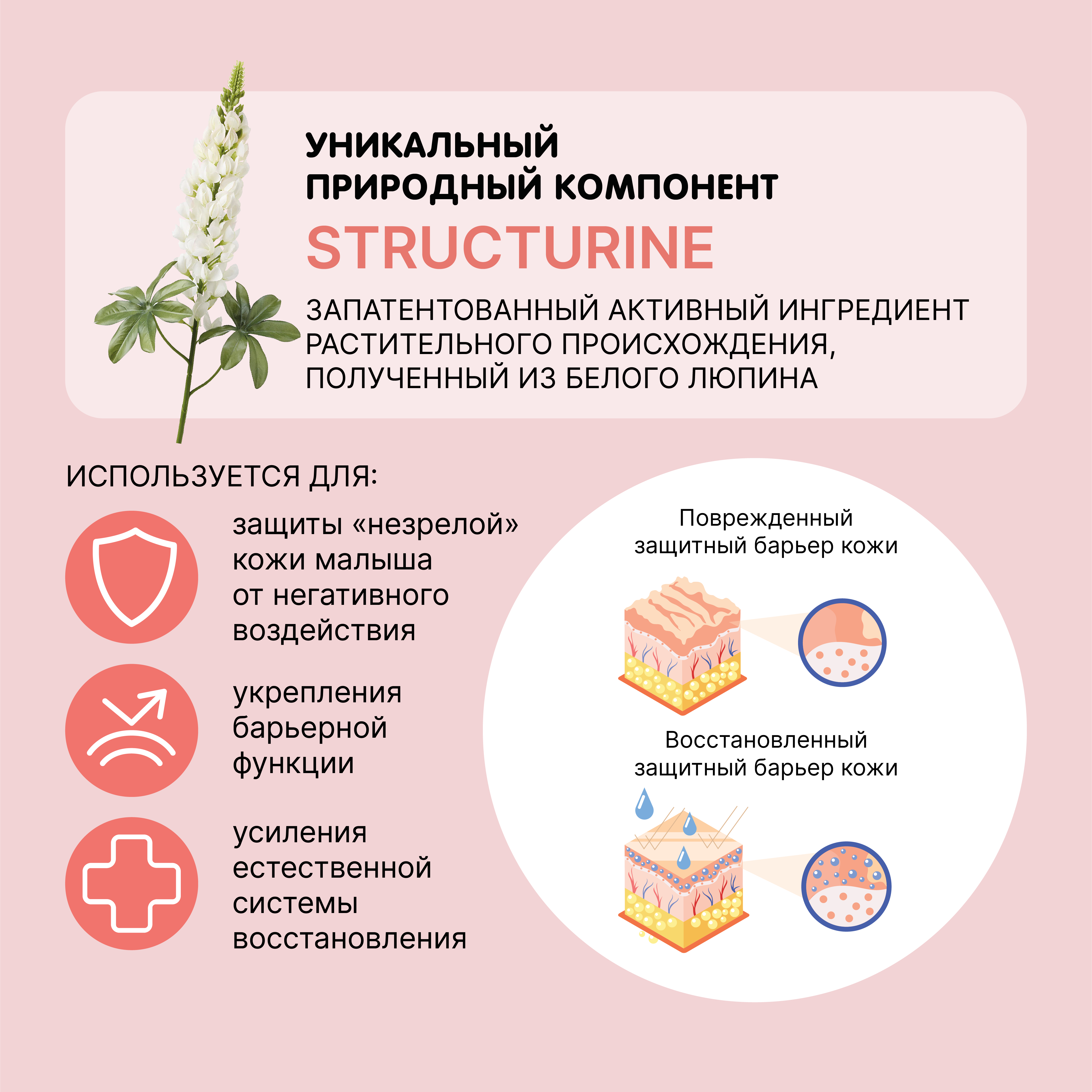 Набор средств MEDILANA Кенгуру 405 мл - фото 5