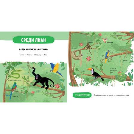 Книга Clever ГКМ.Главная книга малыша. Такие разные животные/Бессон А.