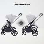 Коляска прогулочная Rant Flex Color серый