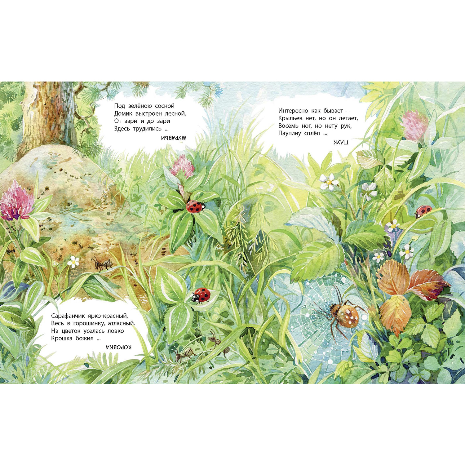 Книга ЭНАС-КНИГА Что найдём с тобой в лесу? Стихи-загадки - фото 5