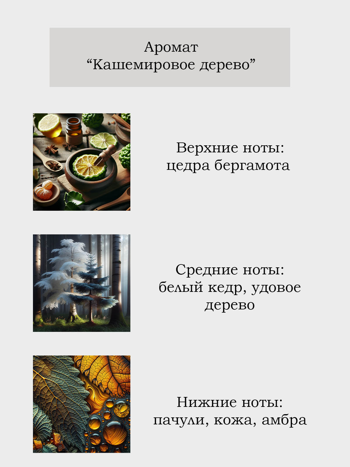 Диффузор для дома с палочками Plates and More Кашемировое дерево 100 мл - фото 2