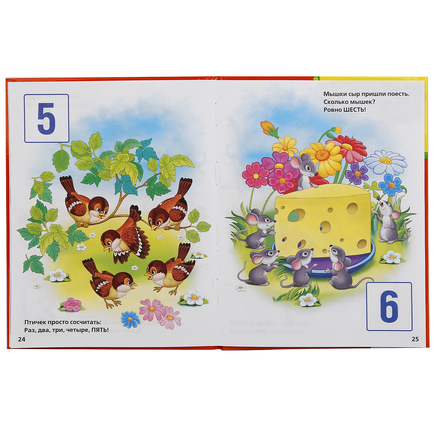 Книга УМка Энциклопедия дошкольника Дружинина - фото 5