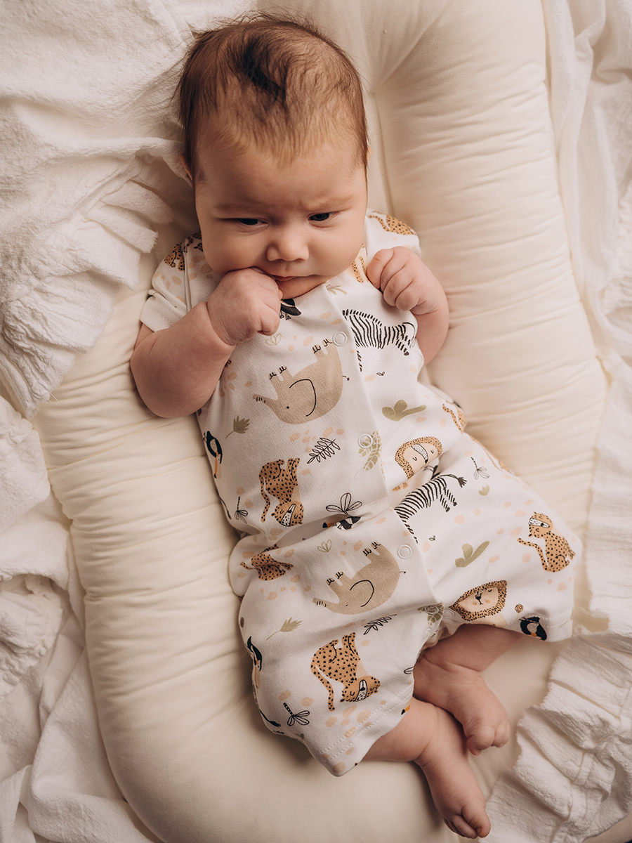 Песочник 2 шт SOFUTO WBS3290WBS4460 - фото 6