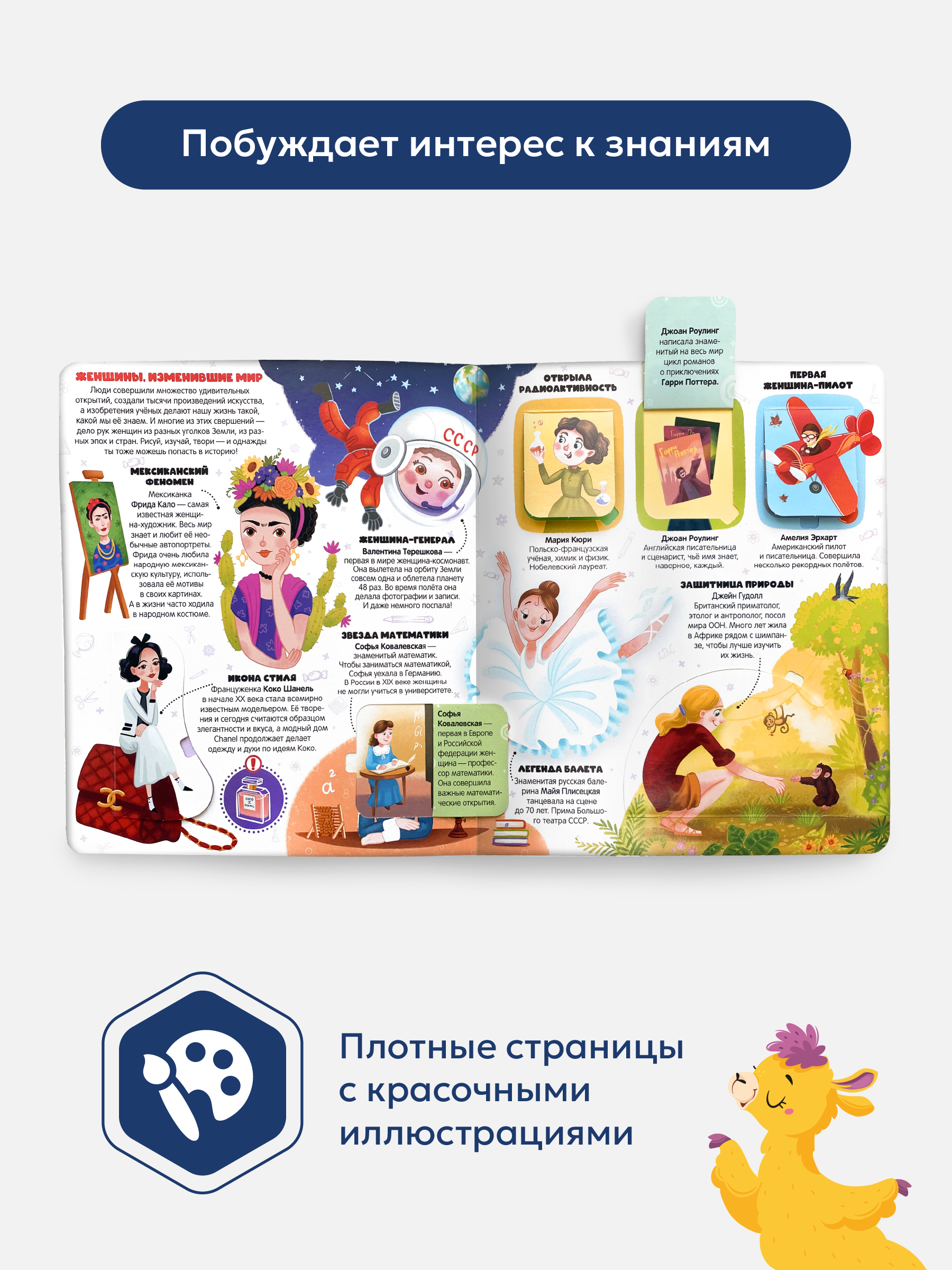 Книжка с окошками Malamalama Кто такие девочки? Энциклопедия для девочек - фото 3