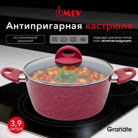 Кастрюля для индукционных плит с крышкой Moulin Villa Granate 3,9 литра