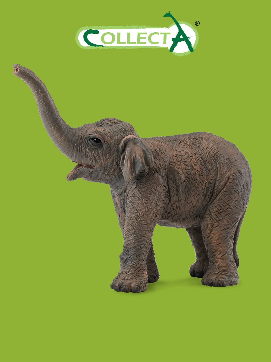 Фигурка Collecta Азиатский слонёнок - фото 1