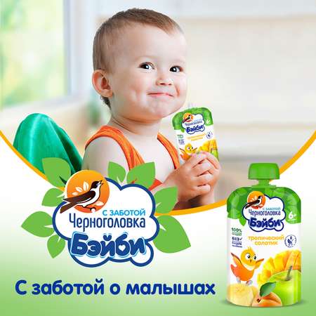 Пюре для детского питания Черноголовка Бэйби Тропический салатик с 6 месяцев 12 шт по 85 г