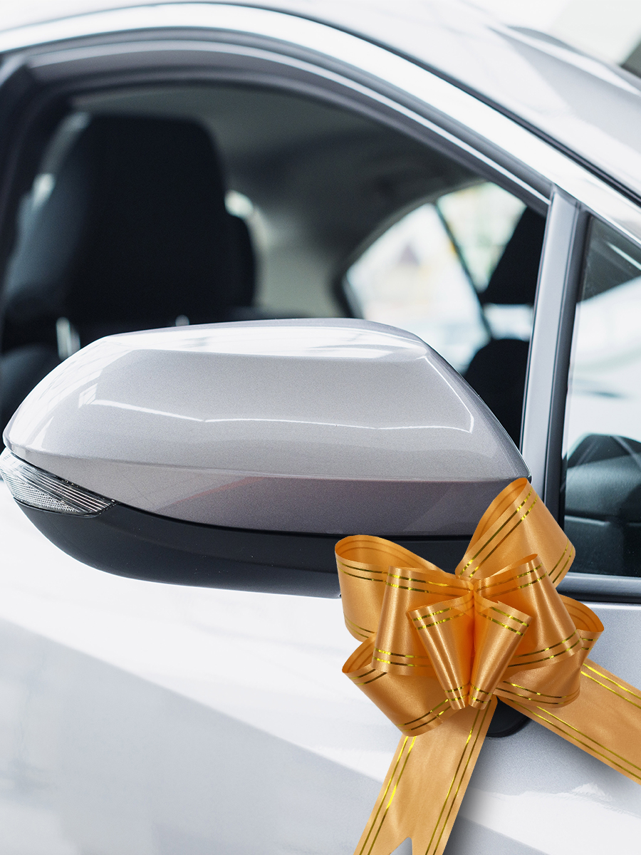 Набор бантиков AXLER для подарков 10 шт - фото 8