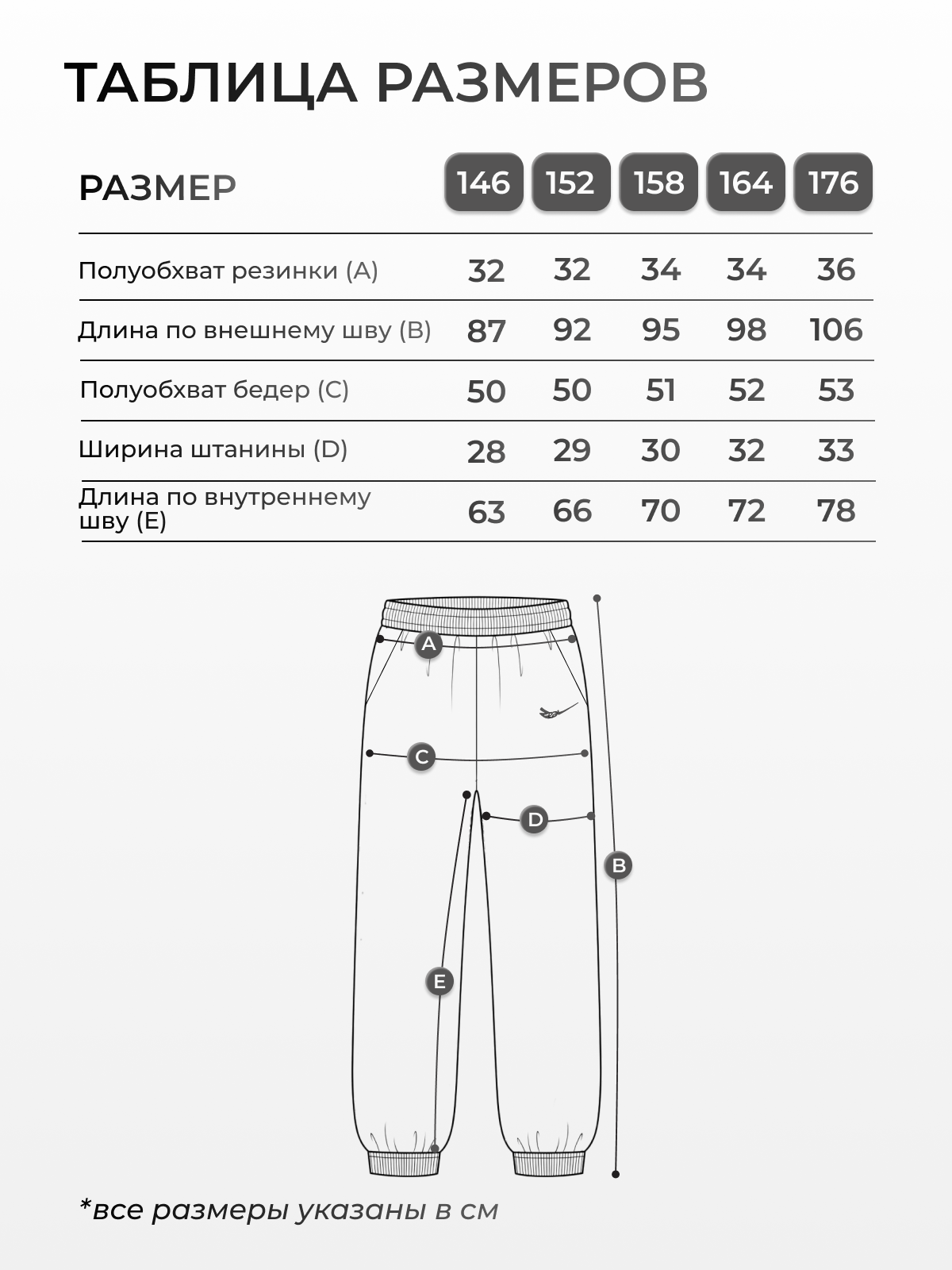 Брюки ДииМа F2_jogger - фото 3