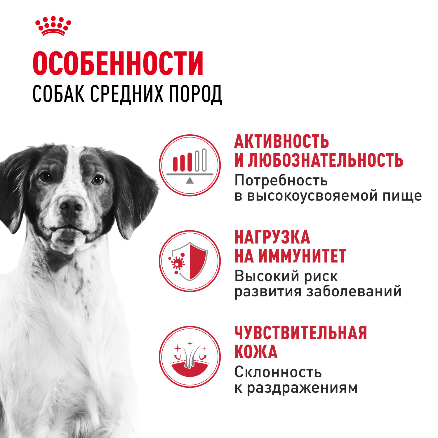Корм для собак ROYAL CANIN средних пород 15кг - фото 2