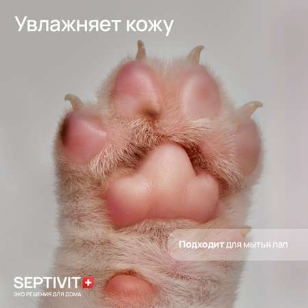 Шампунь для кошек SEPTIVIT 1 л