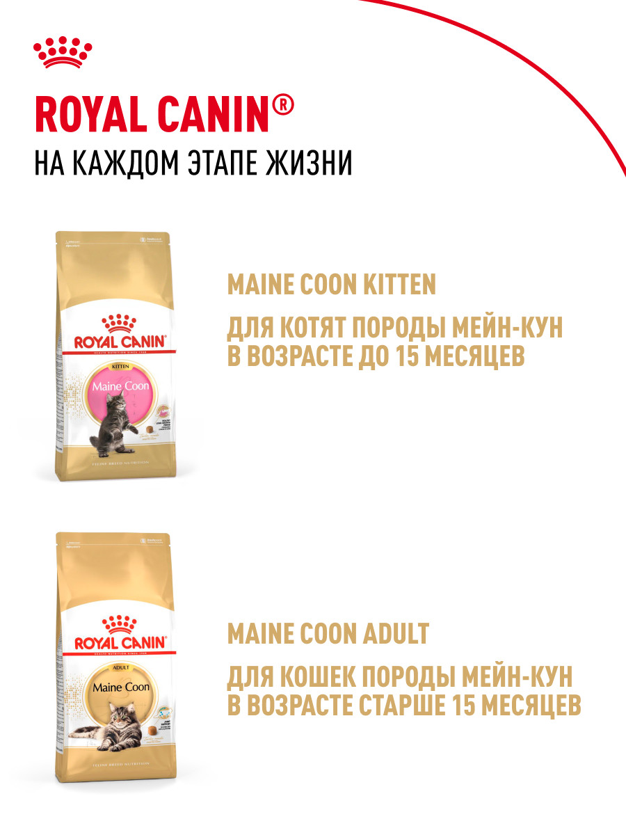Корм для котят Royal Canin 85г Maine Coon Kitten соус для котят мейн кун пауч - фото 10