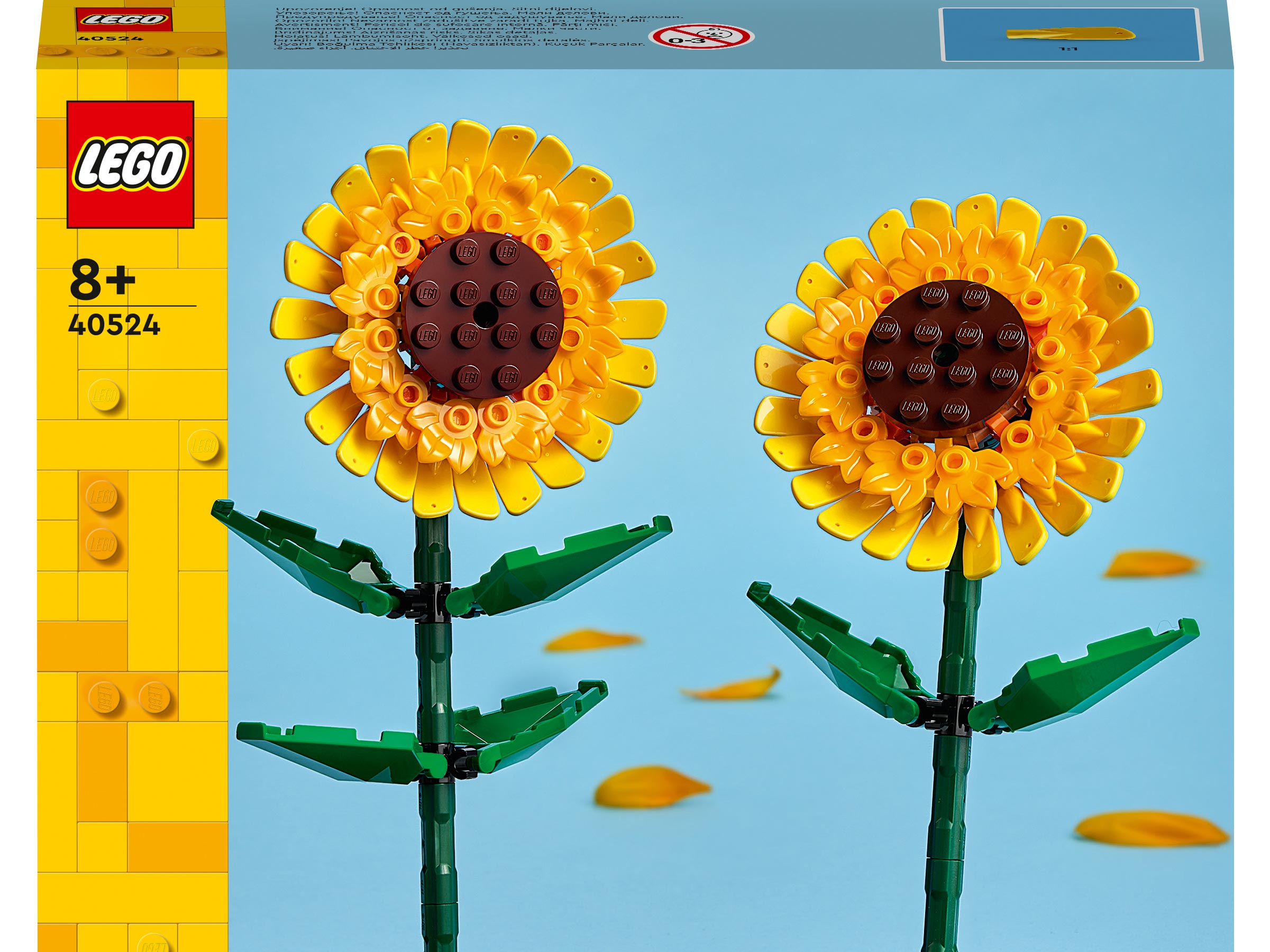 Конструктор LEGO Botanicals Сувенирный набор 191 дет. - фото 3